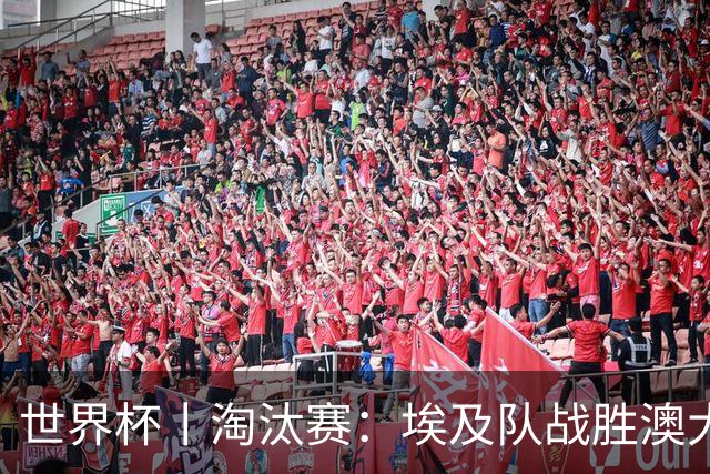 世界杯丨淘汰赛：埃及队战胜澳大利亚队