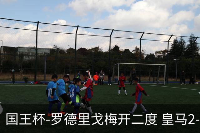 国王杯-罗德里戈梅开二度 皇马2-1奥萨苏纳夺冠