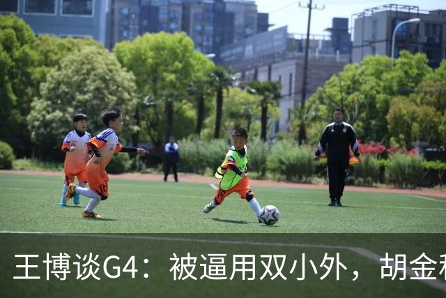 王博谈G4：被逼用双小外，胡金秋完成任务，林秉圣需要时站了出来