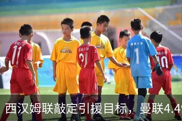 西汉姆联敲定引援目标，曼联4.49亿元求购萨默维尔迎来转机