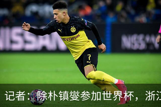 记者：除朴镇燮参加世界杯，浙江队外援全部抵达陕西冲击足协杯