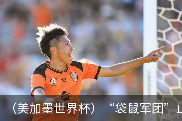 （美加墨世界杯）“袋鼠军团”止步32强 悉尼球迷难掩失落